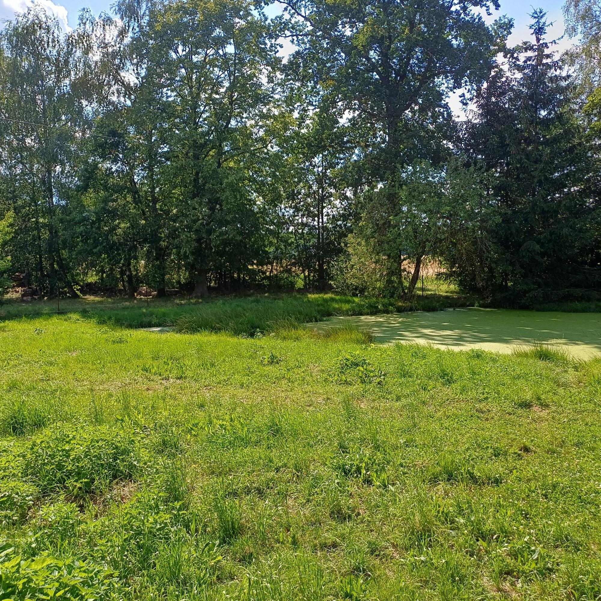 Statek U Spulaka Apartamento Lomnice nad Lužnicí Exterior foto